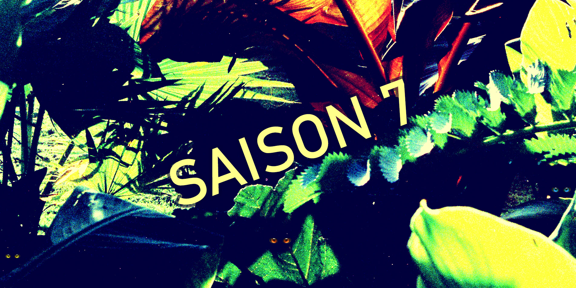 Slider Banner